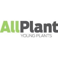 Allplant